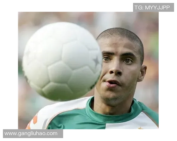 齐丹足球明星及其成就解析揭示足球界的传奇与影响力