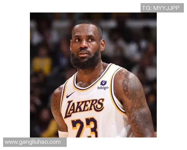 霞洞篮球明星盘点他们的成就与影响力不可小觑